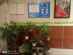 -小六汤包砂煲菜(文景路店)