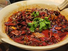 毛血旺-辛香汇·现炒川菜(淮海路百盛店)