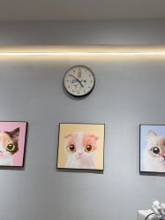 -洗脸猫·洗脸吧