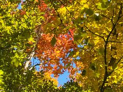 -阳台山自然风景区