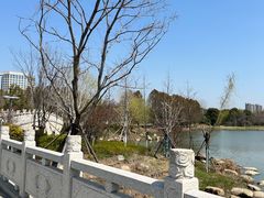 -澹台湖公园