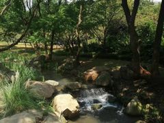 -新洲生态园