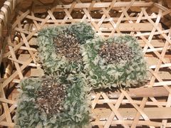 -举炊·寻湘记·新鲜现炒(临平西子国际店)