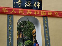 -天目山大树王景区