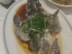 -金河半岛园林酒家(金融城店)