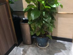 -刘胖子家常菜·蹄花焖藕(中南店)