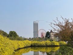 -成都南湖公园