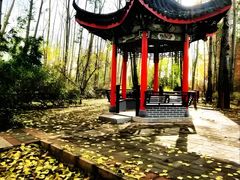 -仁和公园(顺义区)