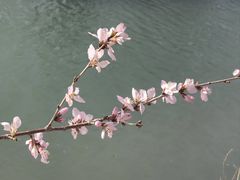 -颐和园