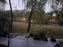 -莲湖公园
