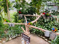 -南宫五洲植物乐园