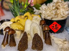 -喜聚薈·花膠雞海鮮火鍋(越秀店)