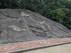 -哈尔滨北方森林动物园