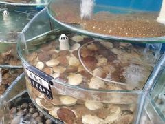 -叶存利海鲜大馅饺子(东戴河止锚湾店)