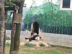 -南昌动物园