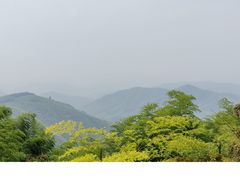 -莫干山风景区
