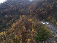 -秦岭风景区