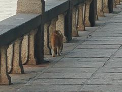 -白鹭洲公园