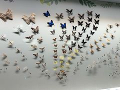 -香港科学馆