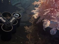 -黑桃K生日订制KTV