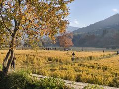 -塔川景区