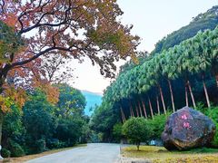 -福清灵石山国家森林公园