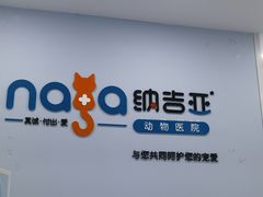 -纳吉亚猫专科动物诊疗中心(蒋宅口分院)