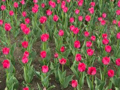 -长春公园(普阳街道)