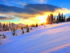 -亚布力新体委滑雪场