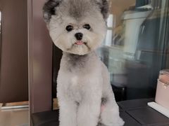 -1013 PET SHOP 宠物商店(近铁城市广场店)