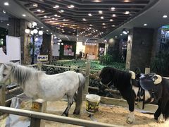 -凯德广场(学府店)