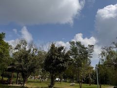 -白鹭湾湿地公园