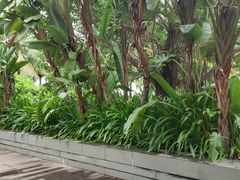 -三亚艾迪逊酒店·海滩烧烤 BARBACOA·现场乐队·浪漫晚餐·烧烤海鲜