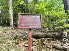 -雁荡山三折瀑景区