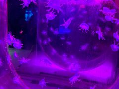 -常州海昌海洋探索馆
