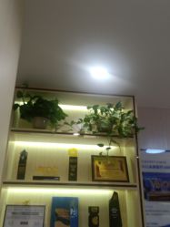 -碧莲盛·不剃发植发