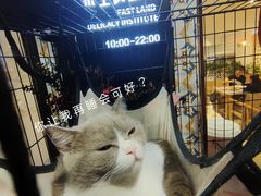 -东土食研所(渔港路店)