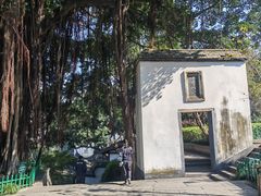 -乌山风景区