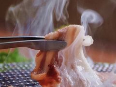 -奉天泥炉烤肉(七星店)