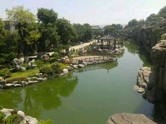 android_upload_pic-中国唐苑