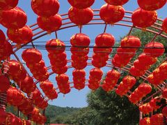 -龙福源密云水库灶台鱼