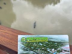 -中国扬子鳄村