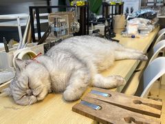 -Oasis绿洲银饰珍珠手作diy(壹方城店)