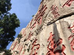 -崂山仰口游览区