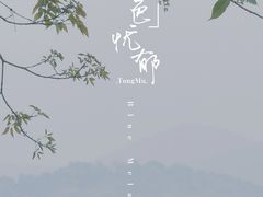 -天适樱花悠乐园