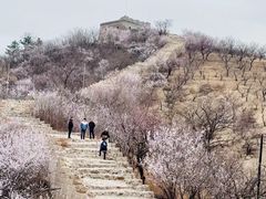 -龙泉峪长城