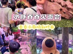 -正佳雨林生态植物园