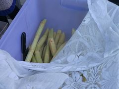 原材料-阿桃甘蔗汁