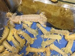 -渔家大院·地道威海菜(石岛店)