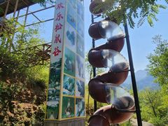 -欢乐松鼠谷
